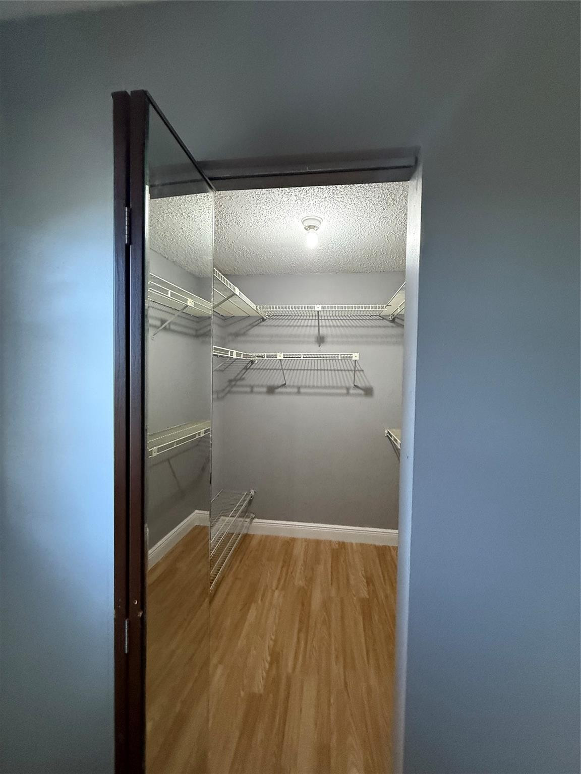 2033 Coral Ridge Drive 2033 Property Photo 6