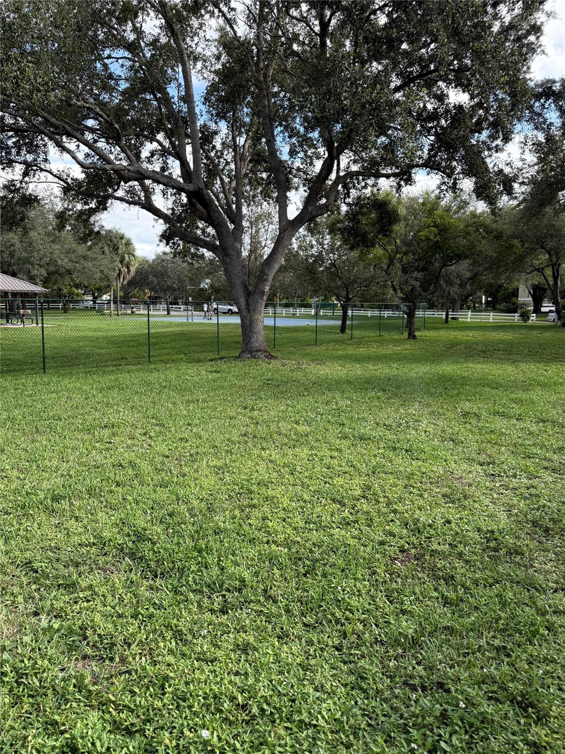2033 Coral Ridge Drive 2033 Property Photo 16