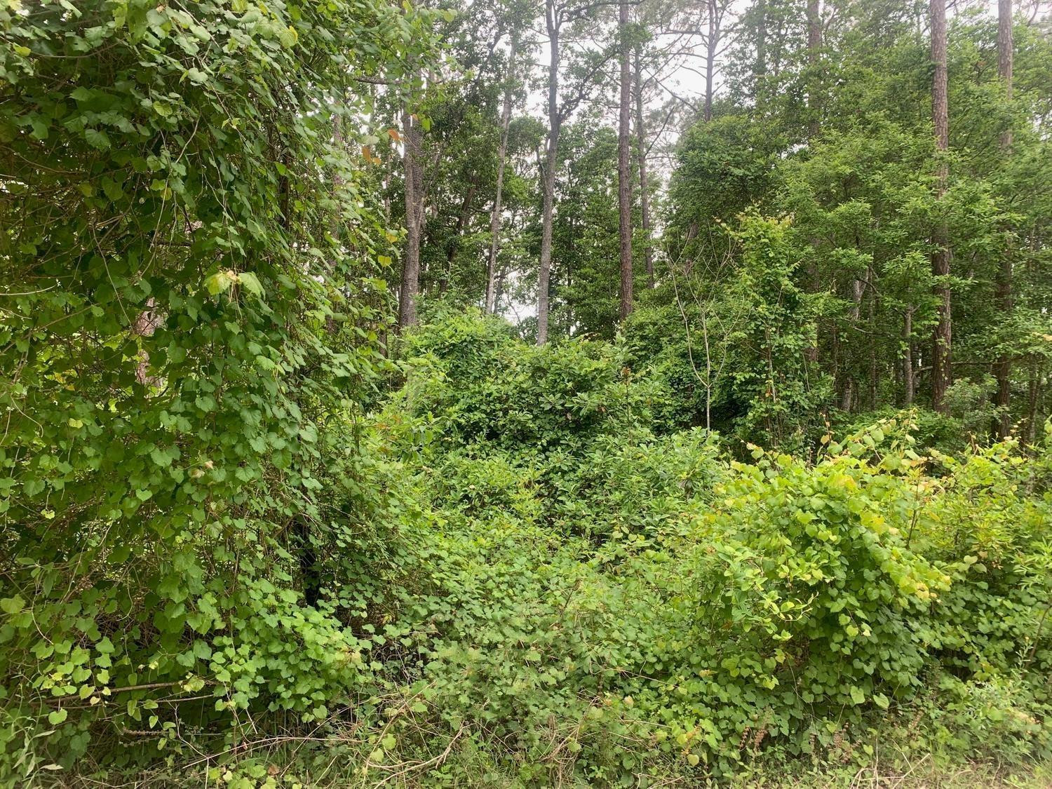 123 Coot Road Property Photo 1