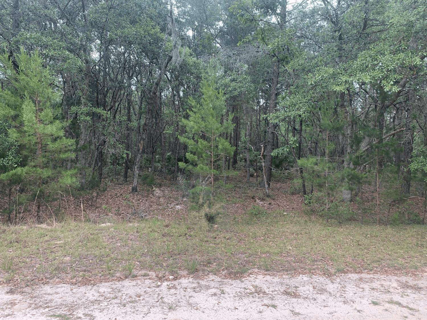 0 Huron Property Photo 1