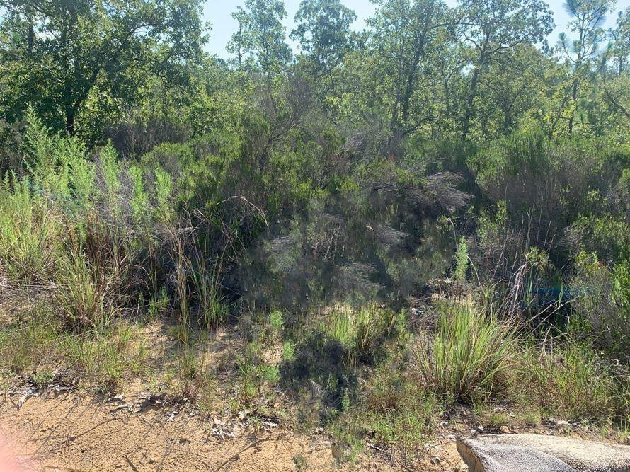 0 Manatee Street Property Photo 1