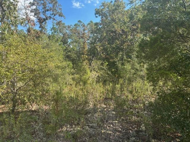 0 Nezperce Drive Property Photo 2