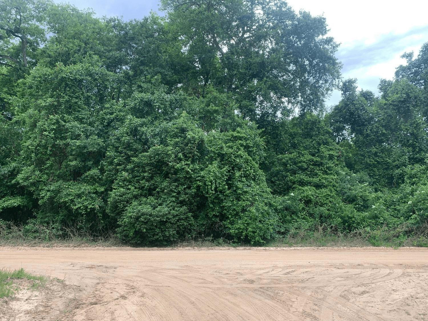 0 Ida Boulevard Property Photo 1