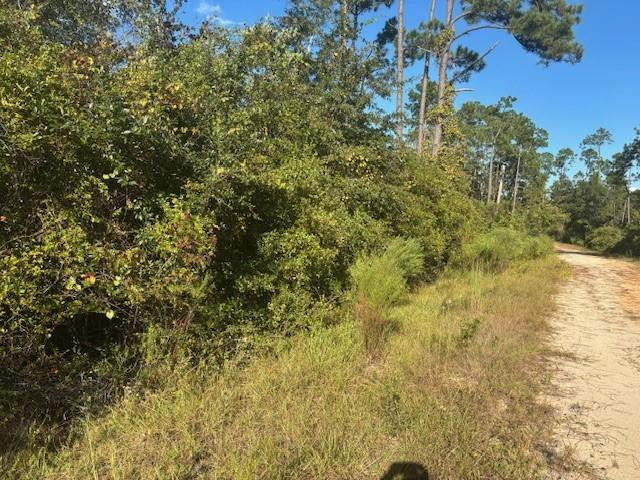0 Mulberry Drive Property Photo 1
