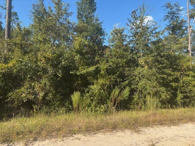 0 Mulberry Drive Property Photo 2