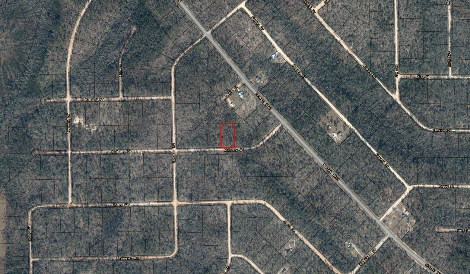 0 Mulberry Drive Property Photo 3