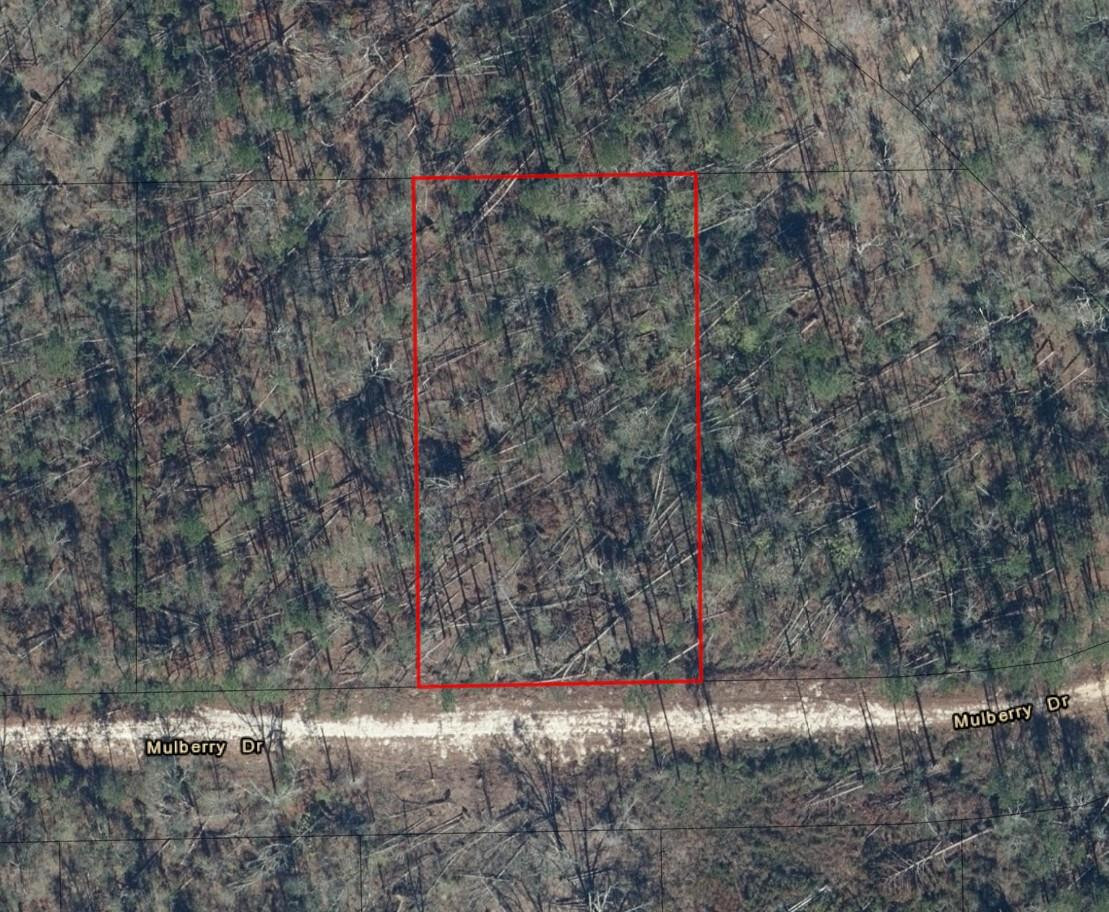 0 Mulberry Drive Property Photo 4