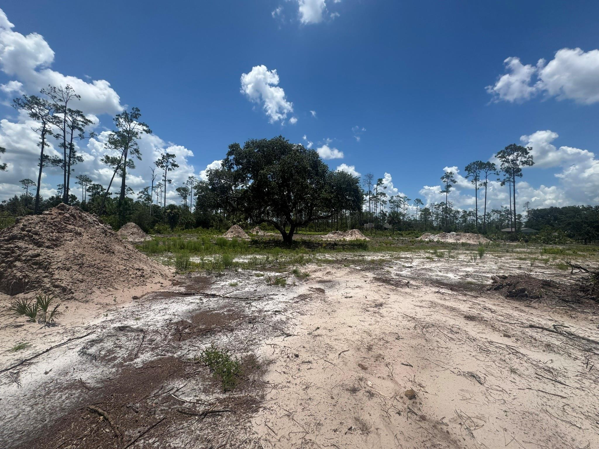 32801 Highway 441 Property Photo 4