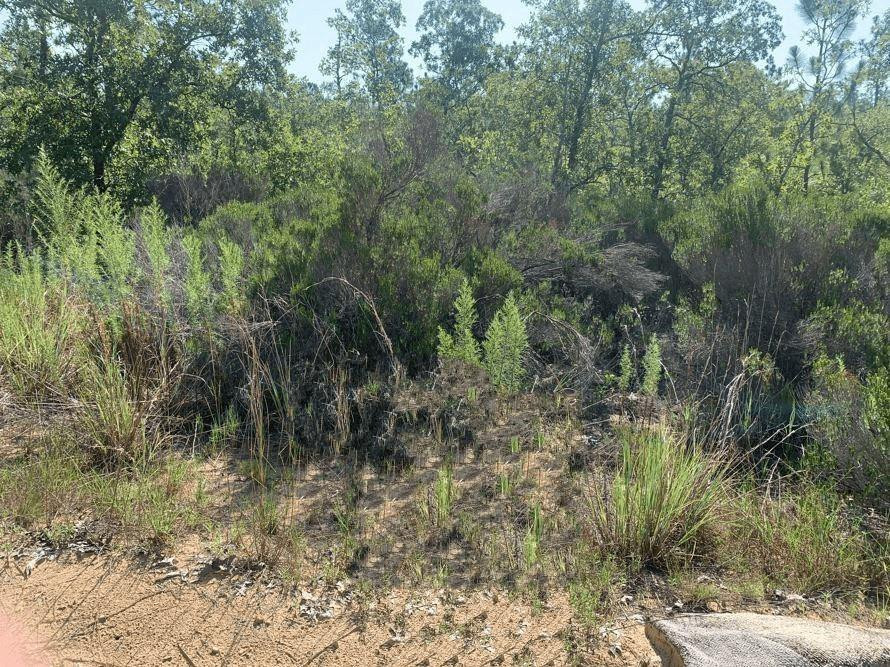 214 Marion Trail Property Photo 1