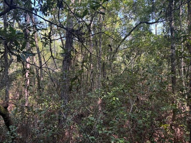224 Se 8th Avenue Property Photo 2