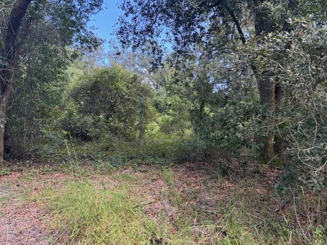 0 County Rd 54 Property Photo 1