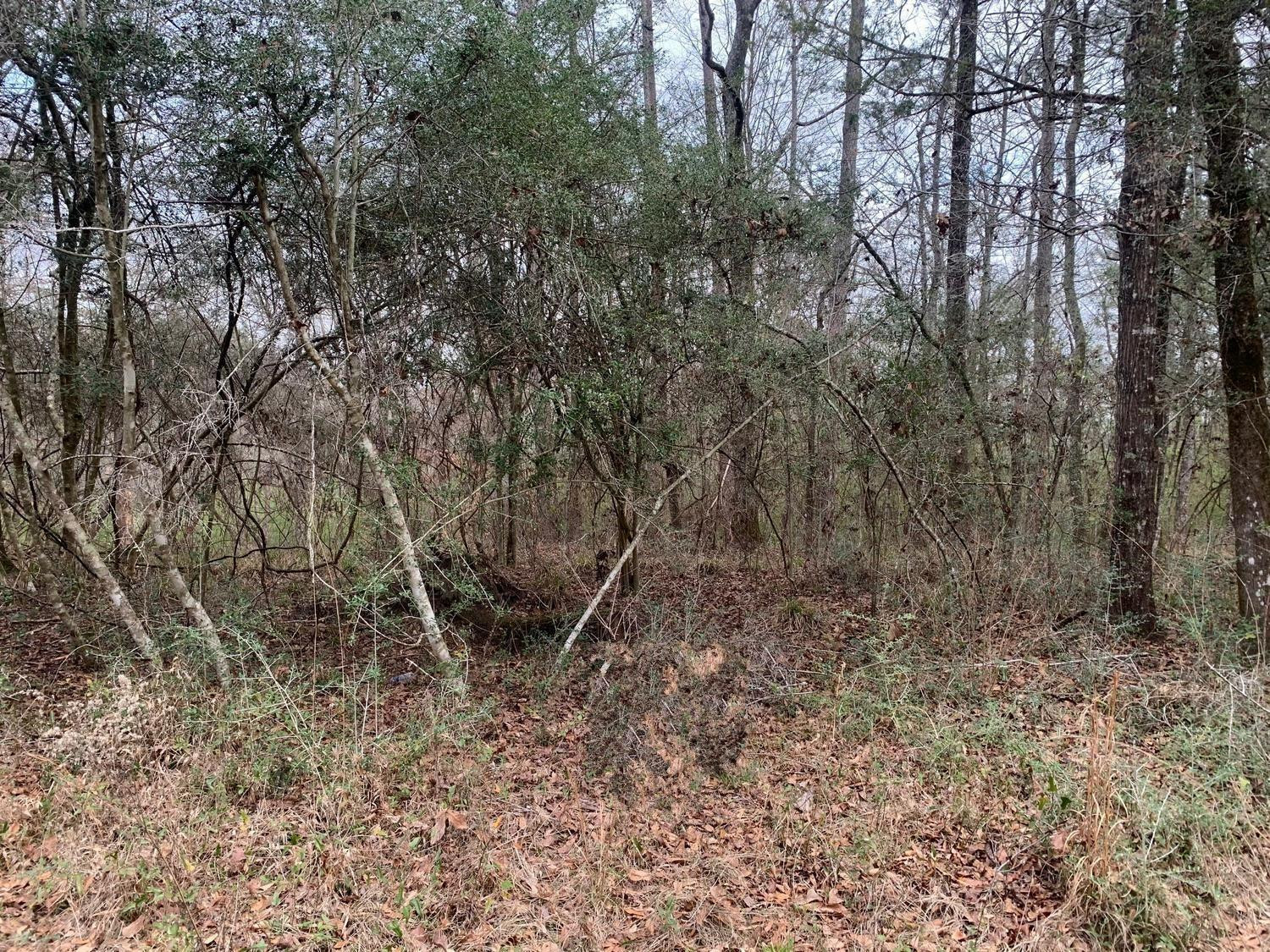 0 Griffin Circle Property Photo 2