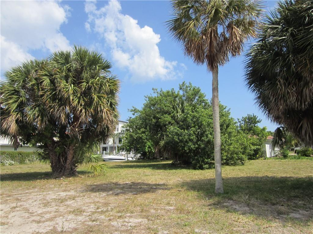 239 Hibiscus Avenue Property Photo 4