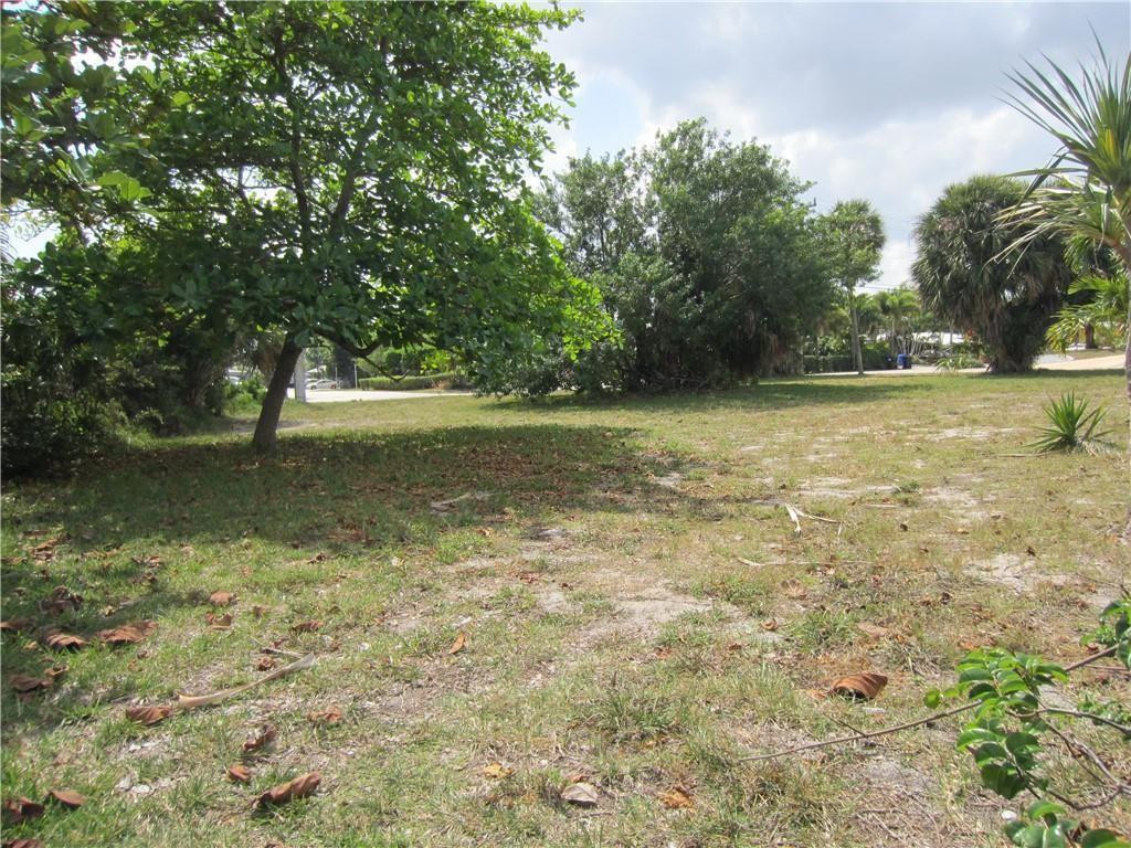 239 Hibiscus Avenue Property Photo 5