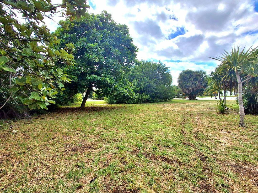 239 Hibiscus Avenue Property Photo 6