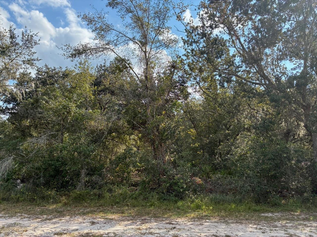 2701 Park Avenue Property Photo 4