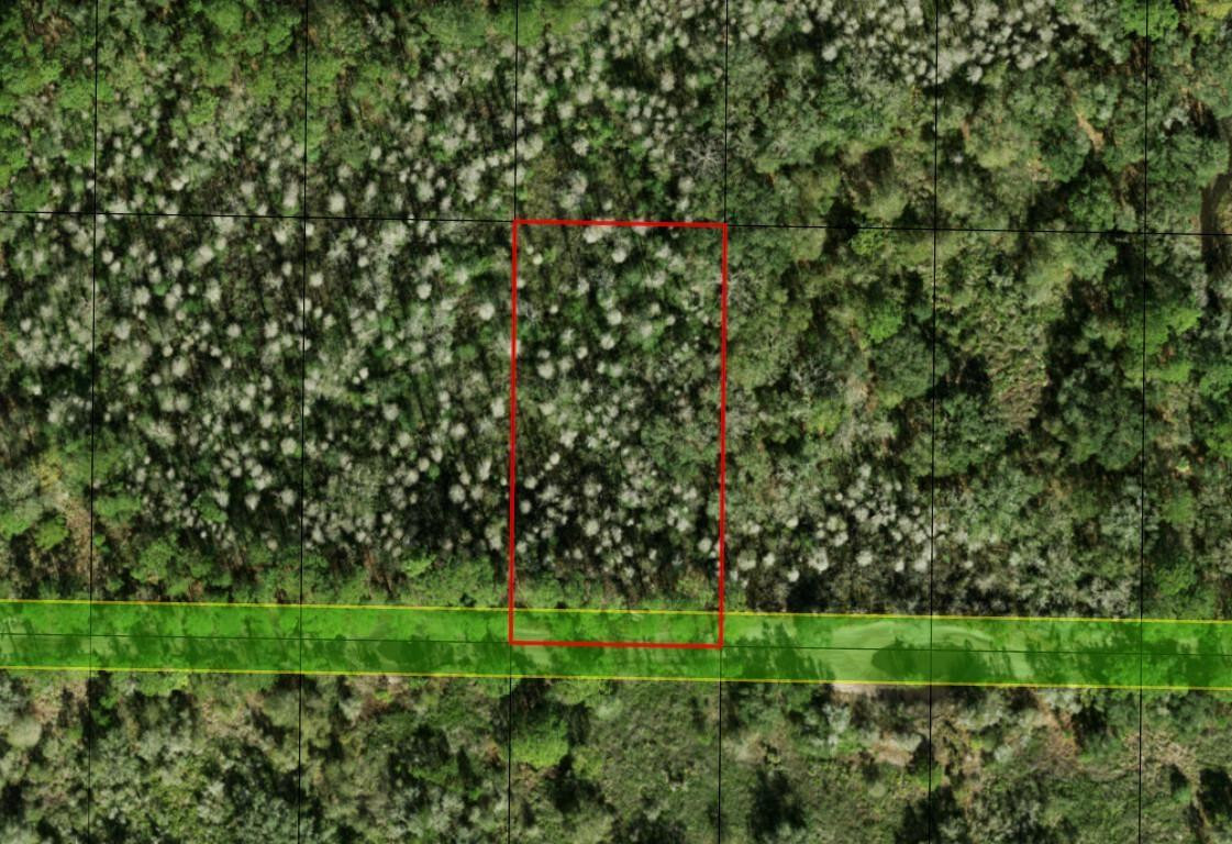 0 County Rd 54 Property Photo 2