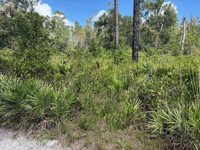0 County Rd 54 Property Photo 2