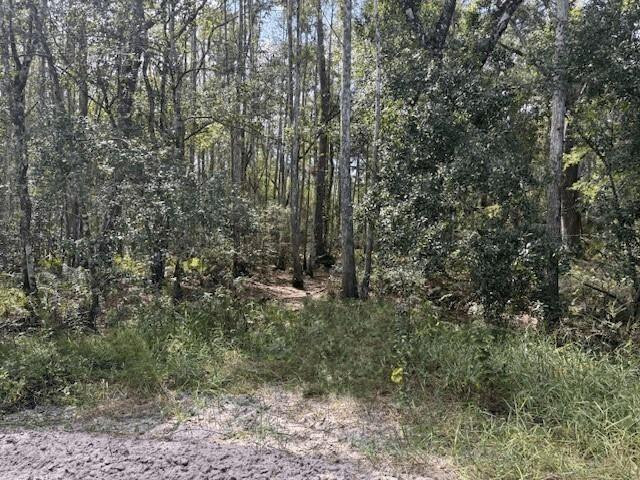 0 County Rd 54 Property Photo 1