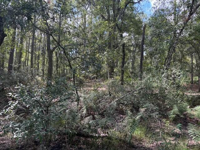 0 County Rd 54 Property Photo 2