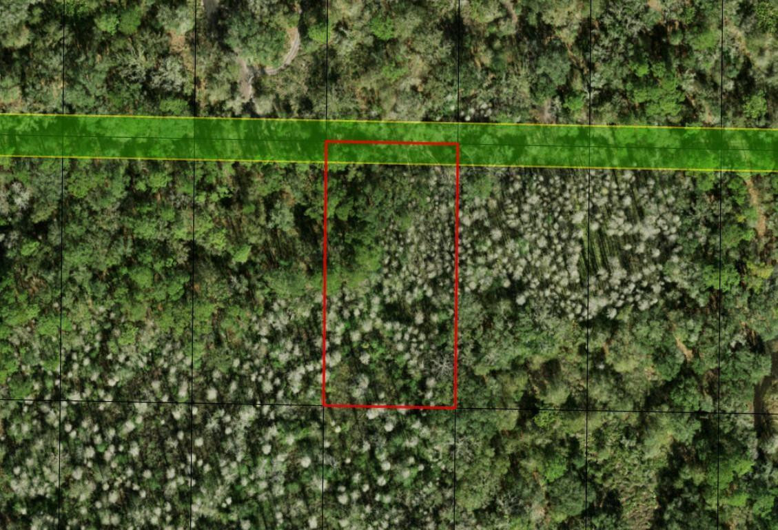 0 County Rd 54 Property Photo 4