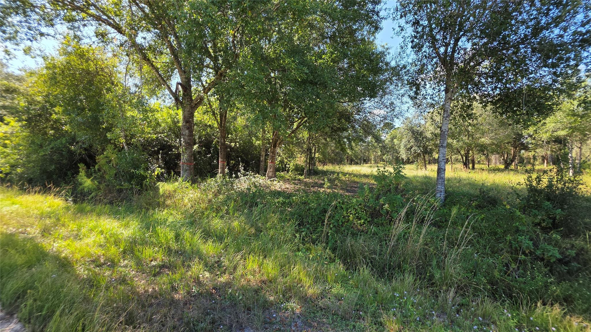 340 N Jinete Street Property Photo 6