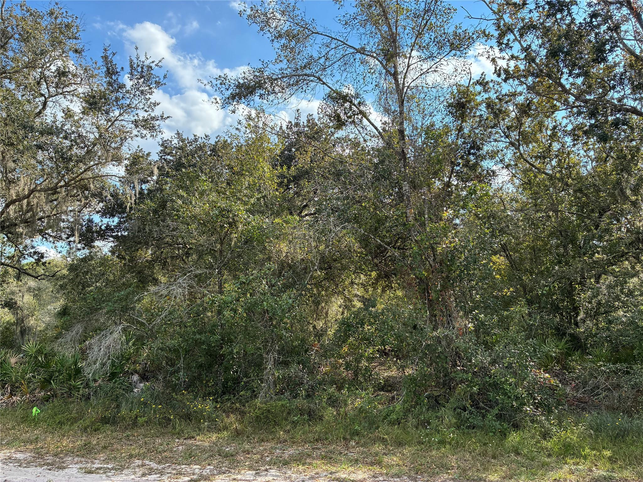 2521 Plumosa Drive Property Photo 1