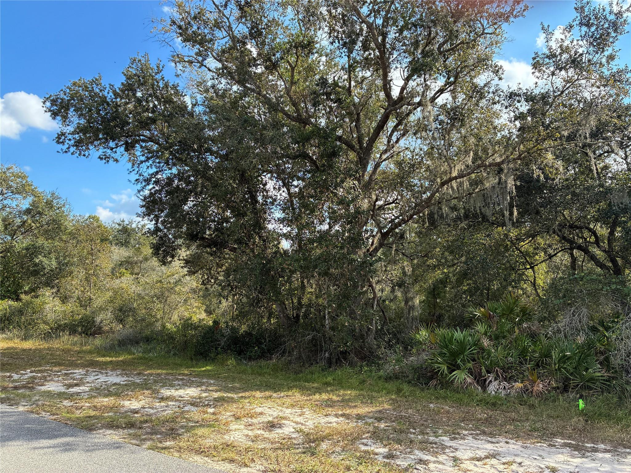 2521 Plumosa Drive Property Photo 2