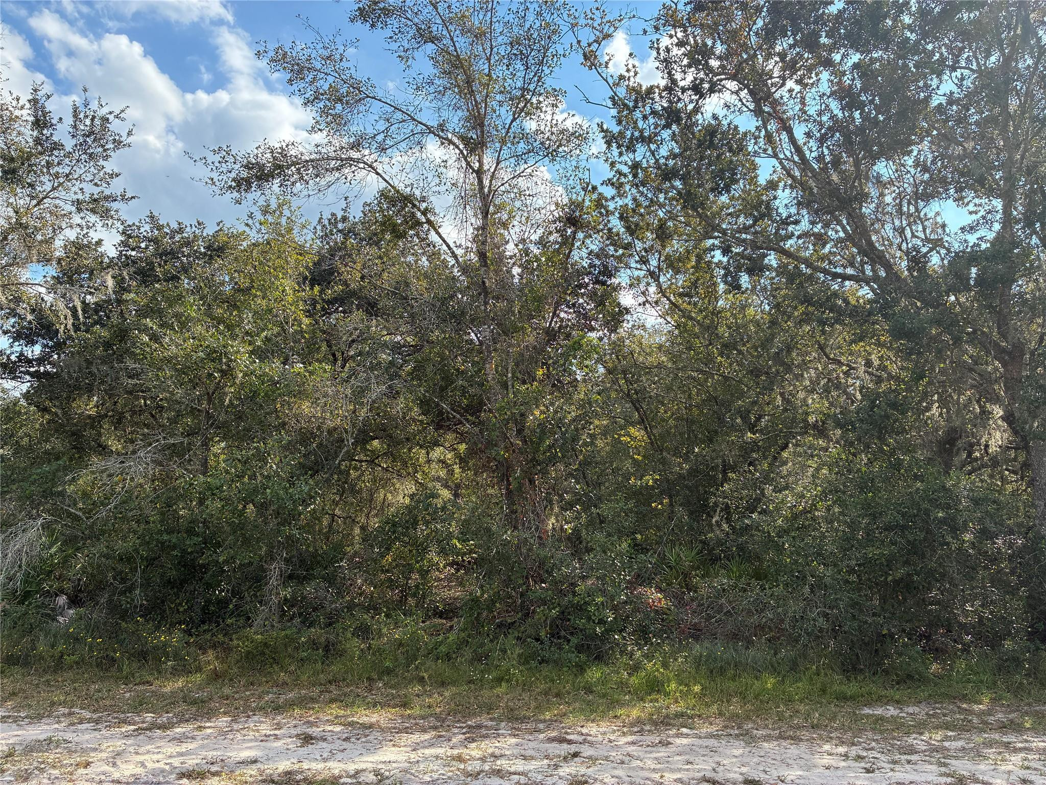2521 Plumosa Drive Property Photo 4