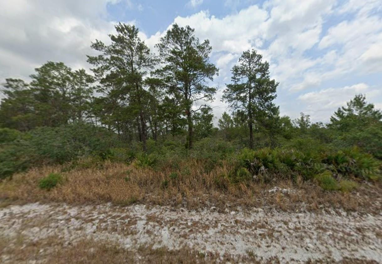 7624 Altara Street Property Photo 1