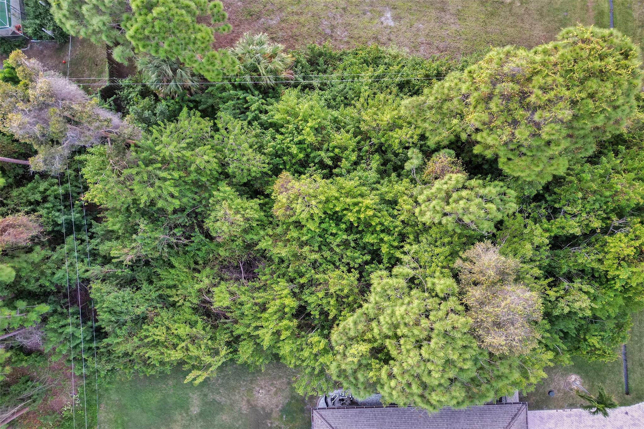 750 Se Cavern Avenue Property Photo 6