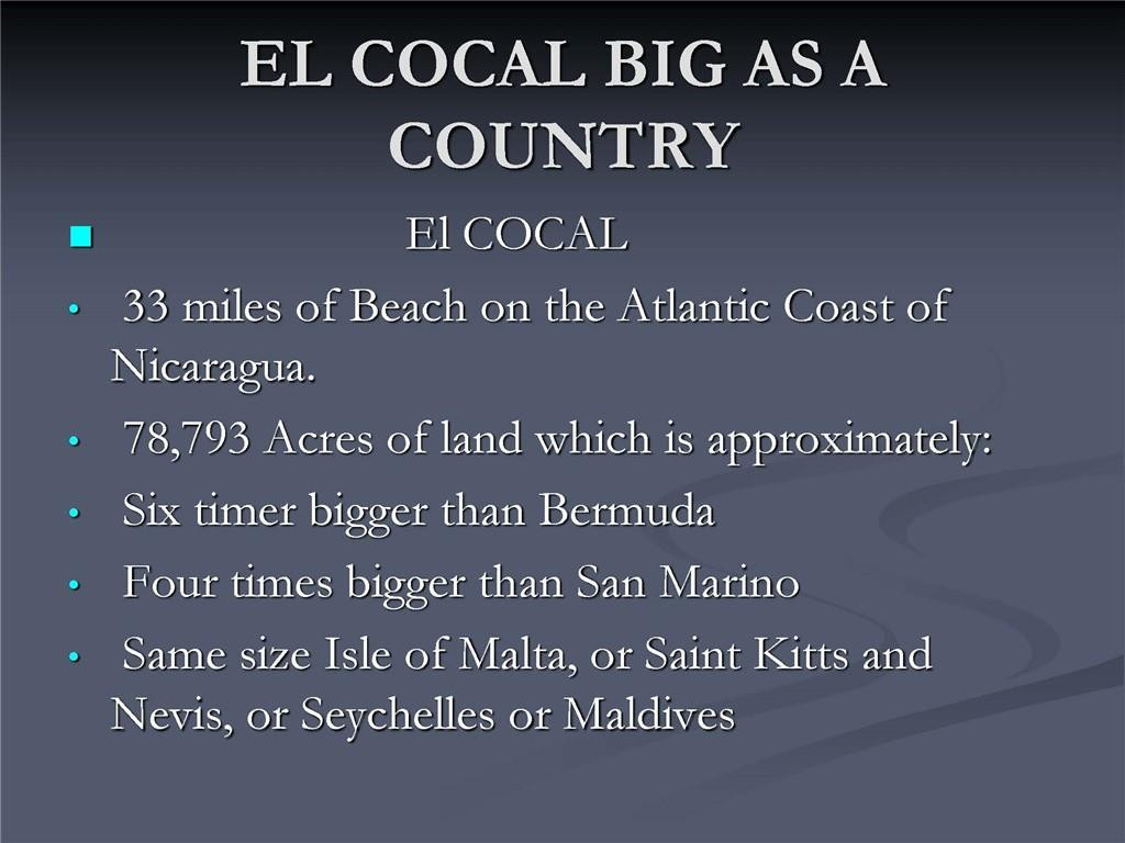 1001 Indian River Property Photo 29
