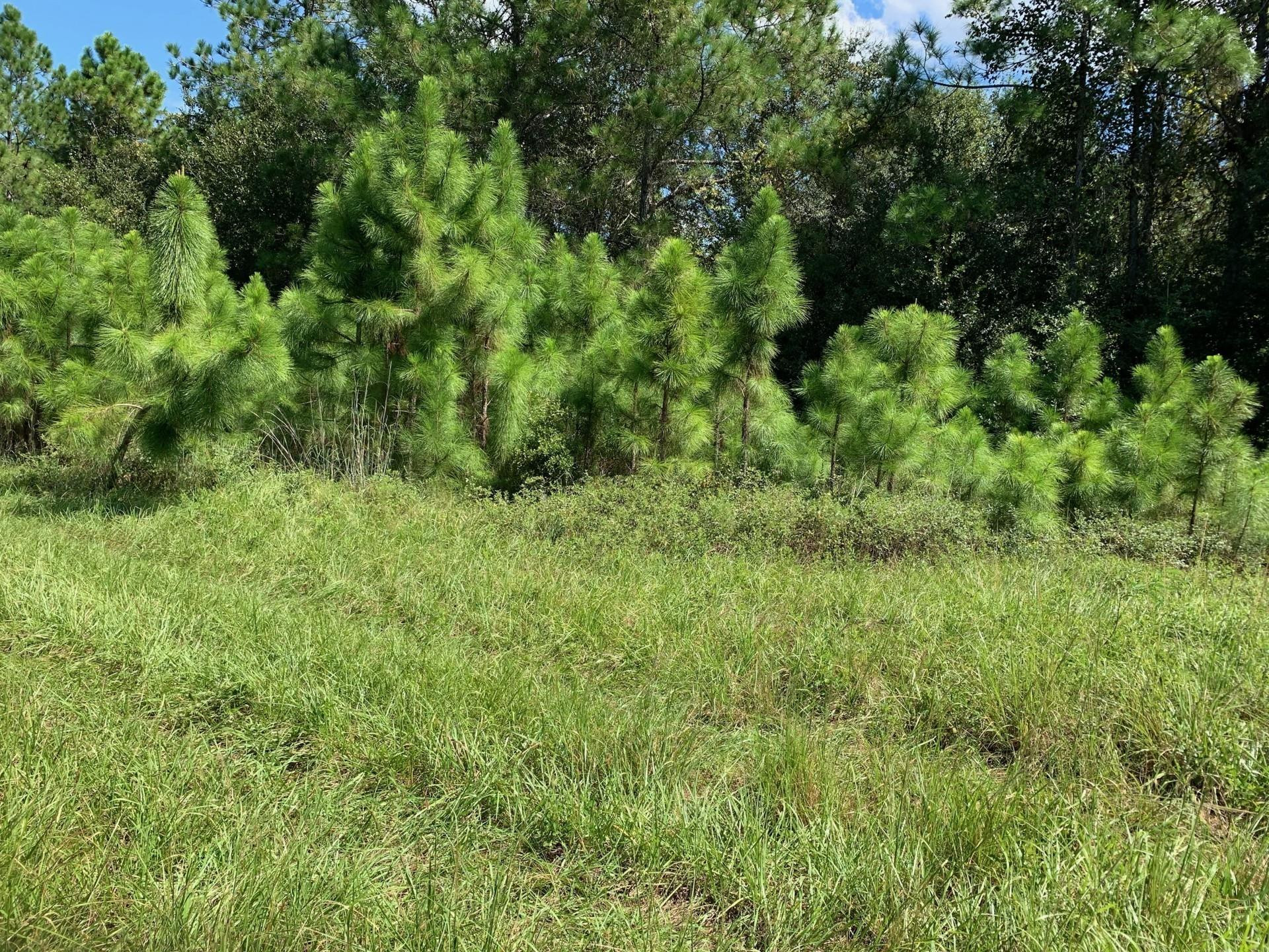 0 Old Grade Road Property Photo 1
