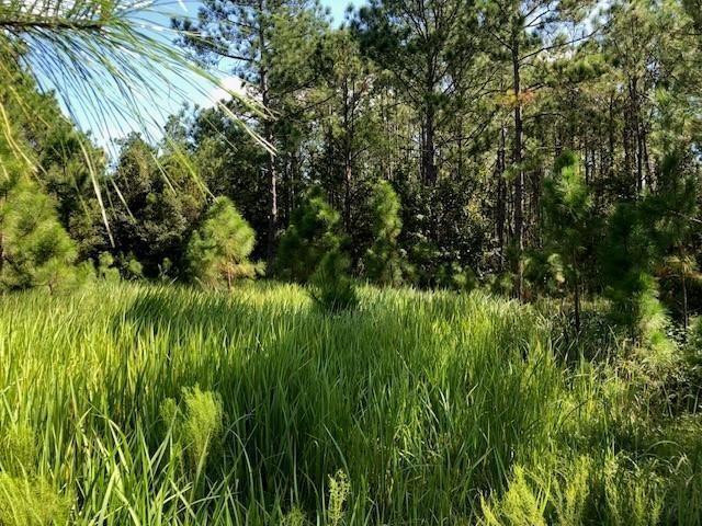 0 Old Grade Road Property Photo 1