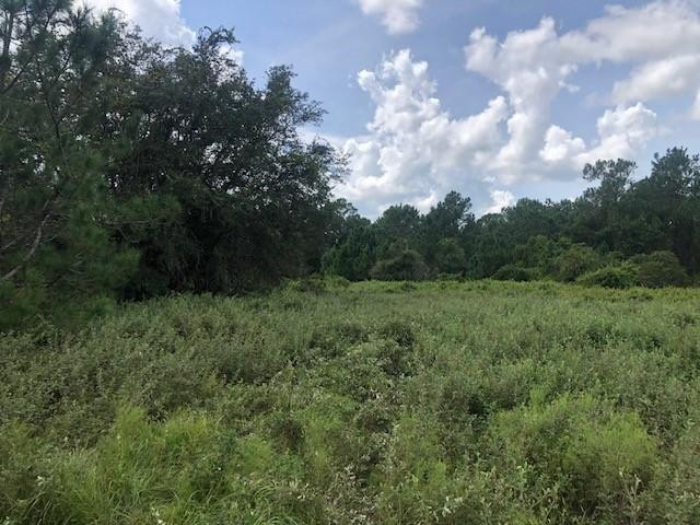 0 Old Grade Road Property Photo 1
