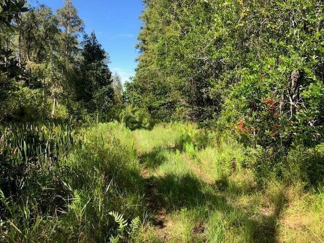 0 Old Grade Road Property Photo 1