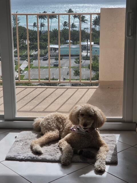 1865 S Ocean Drive 11n Property Photo 20