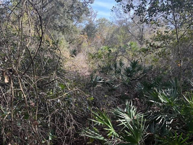 0 County Rd 54 Property Photo 1