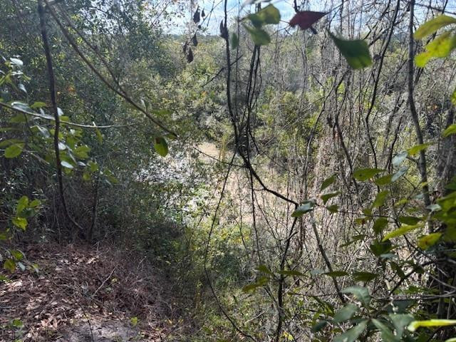 0 County Rd 54 Property Photo 2