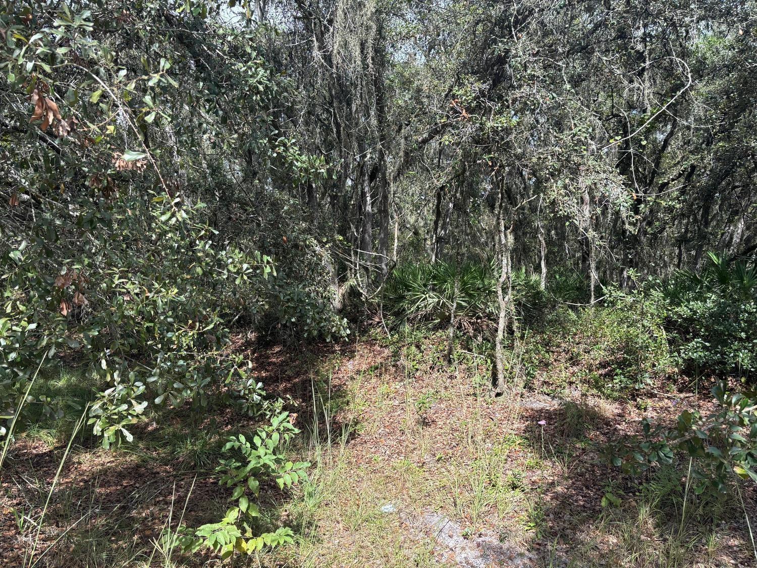 0 County Rd 54