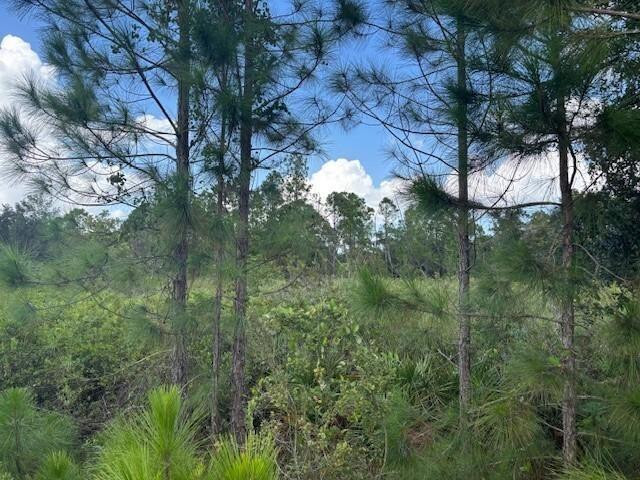 0 County Rd 54