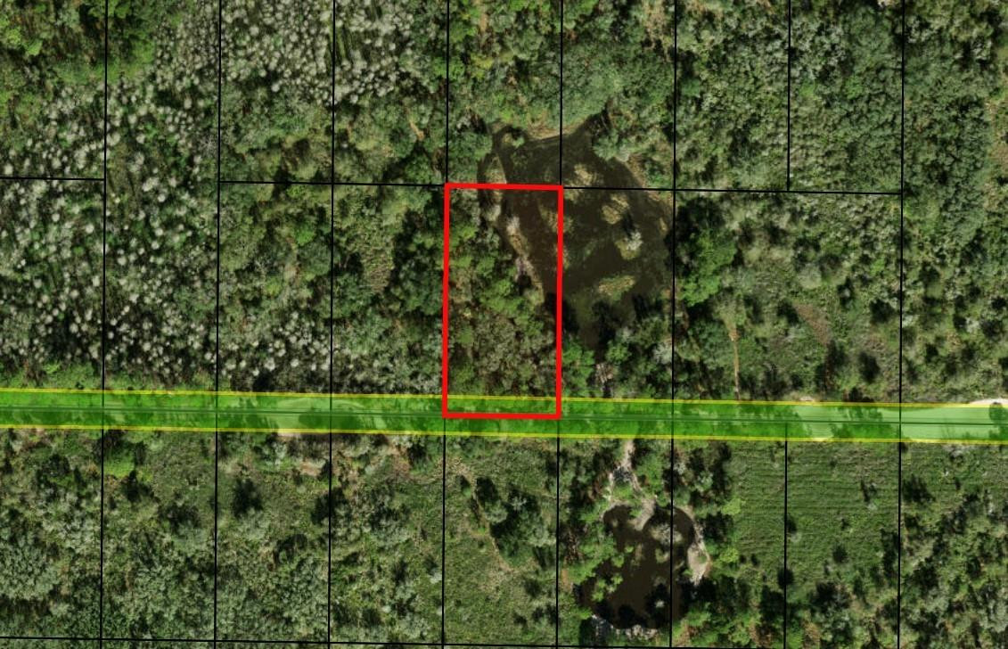 0 County Rd 54 Property Photo 2