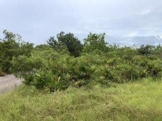 0 Us Hwy 27 Property Photo 1