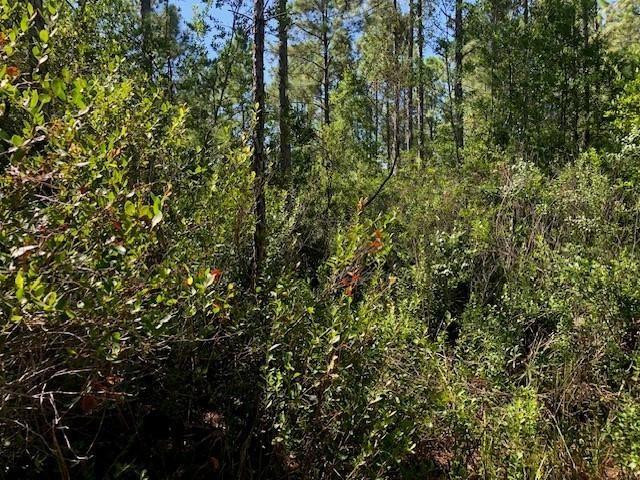 0 Old Grade Road Property Photo 1