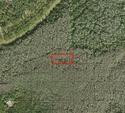 0 Holopaw Groves Road Property Photo 1