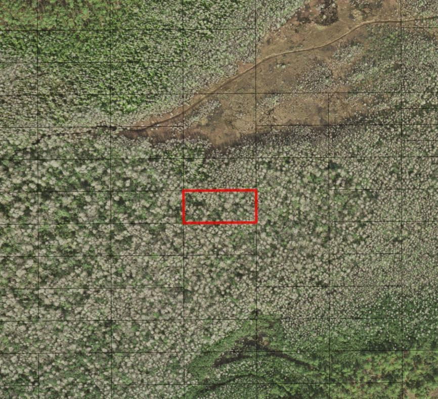 0 Holopaw Groves Road
