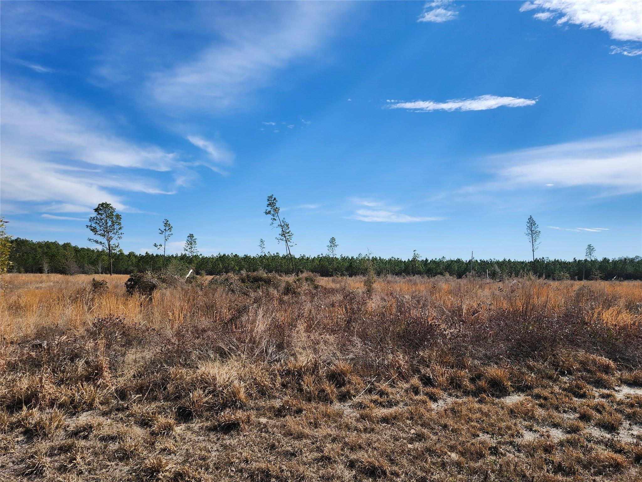 Lot 50 Fl-50 Property Photo 1