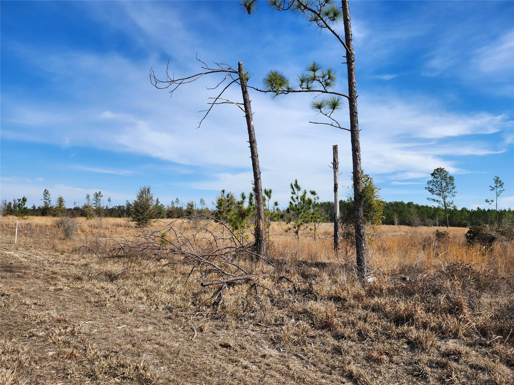 Lot 50 Fl-50 Property Photo 2