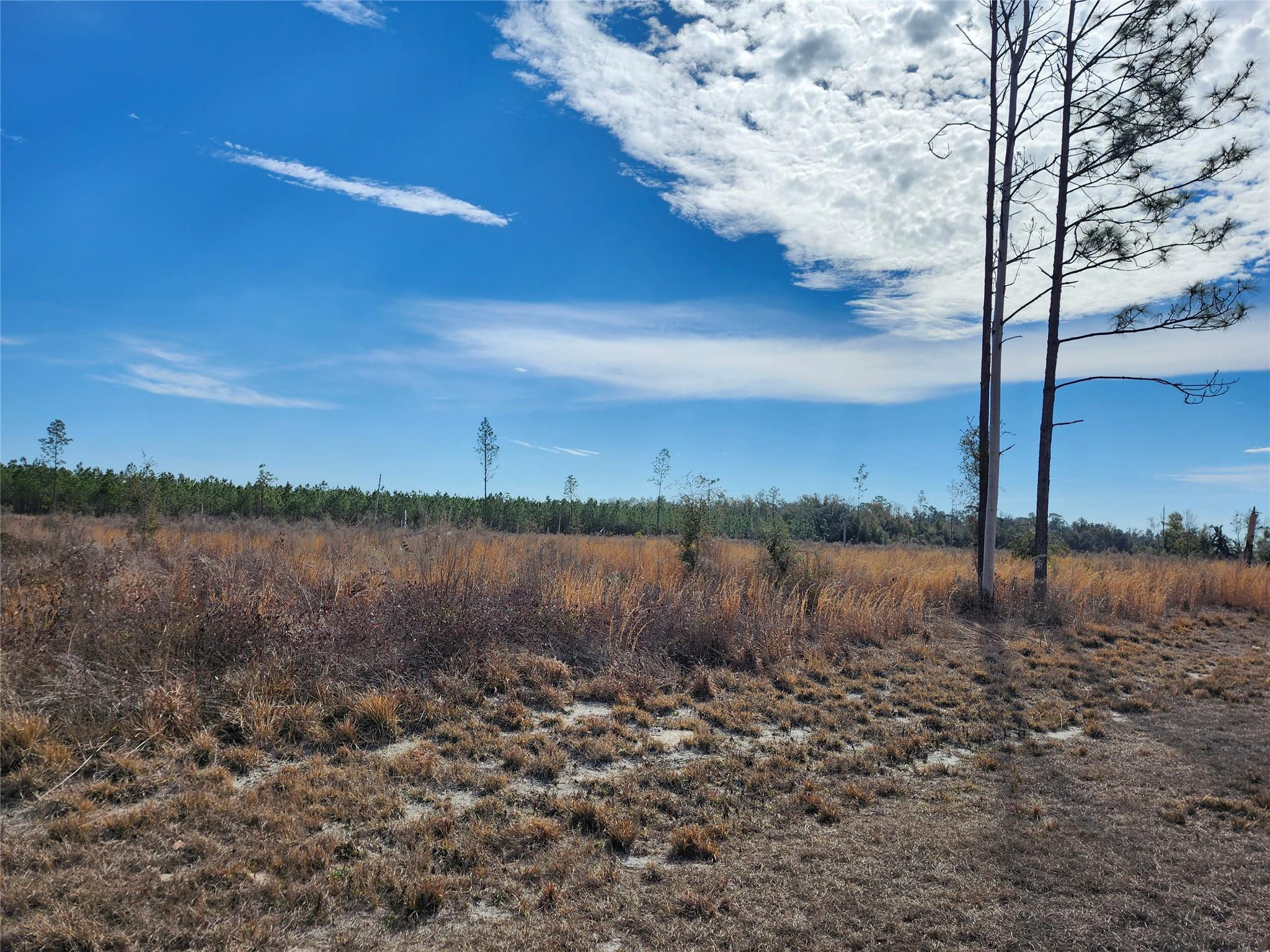 Lot 50 Fl-50 Property Photo 3