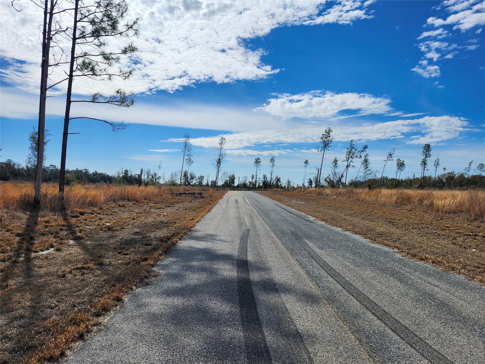 Lot 50 Fl-50 Property Photo 4